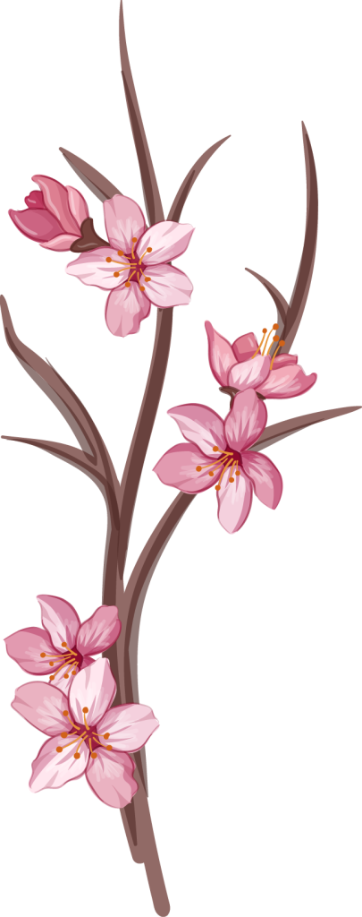 Sakura-01-405x1024